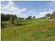 Lot 15 Western Branch Road, Lobethal SA 5241