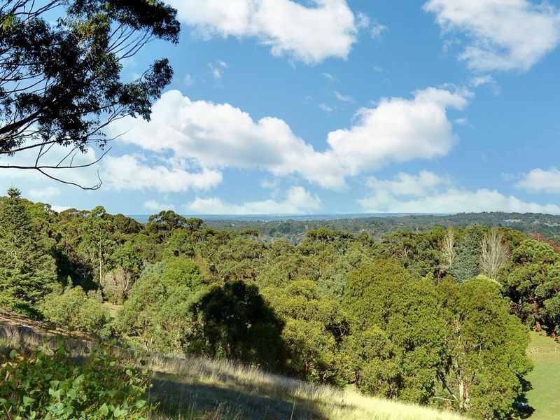 315 Bridgewater/Carey Gully Road, Bridgewater SA 5155