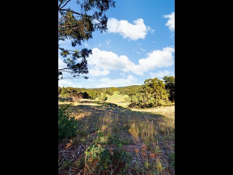 315 Bridgewater/Carey Gully Road, Bridgewater SA 5155