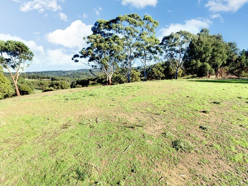 315 Bridgewater/Carey Gully Road, Bridgewater SA 5155