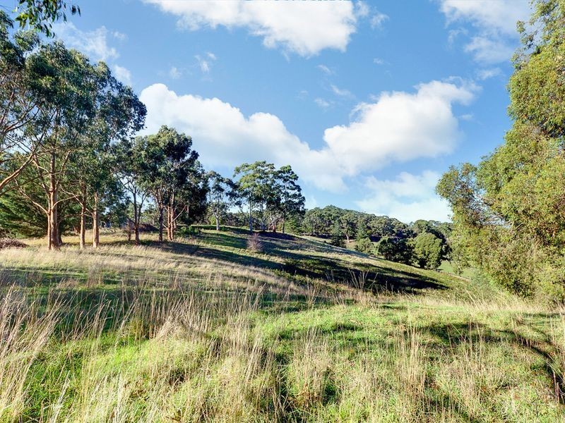 315 Bridgewater/Carey Gully Road, Bridgewater SA 5155
