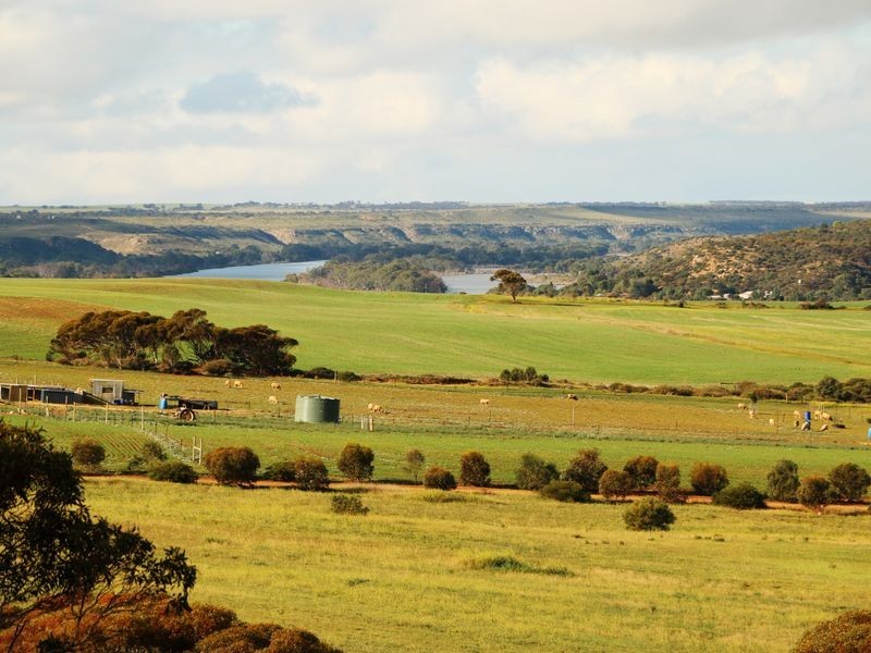 Sec 502 Woolshed Road, Mannum SA 5238