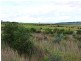 Sec 502 Woolshed Road, Mannum SA 5238