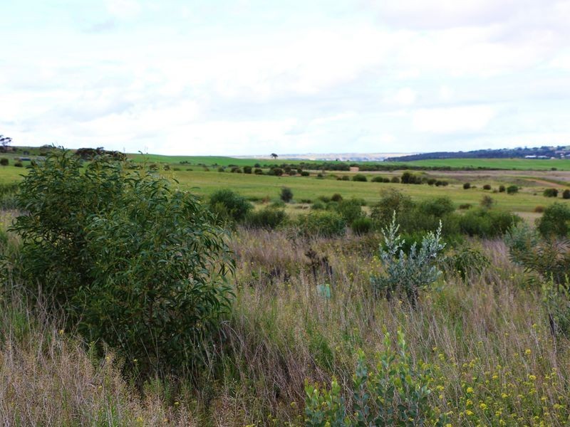 Sec 502 Woolshed Road, Mannum SA 5238