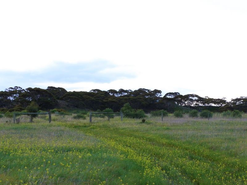 Sec 502 Woolshed Road, Mannum SA 5238