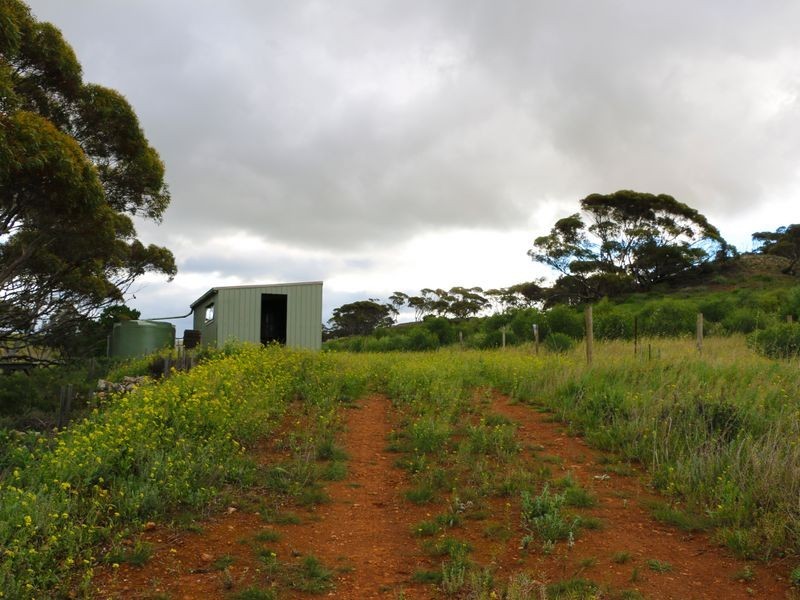 Sec 502 Woolshed Road, Mannum SA 5238