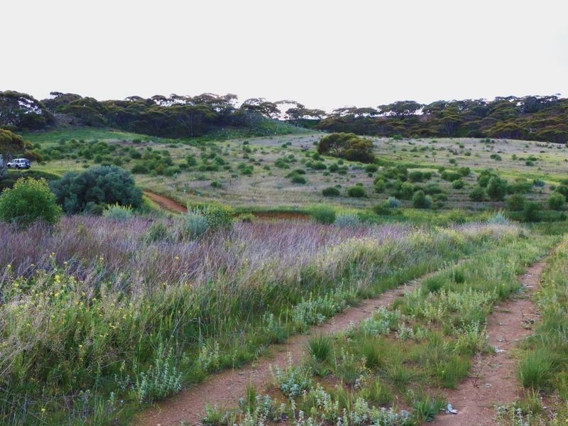 Sec 502 Woolshed Road, Mannum SA 5238