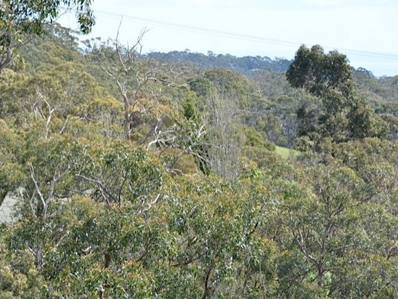 9 Fernwood Way, Upper Sturt SA 5156