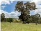 389 Pocock Road, Biggs Flat SA 5153