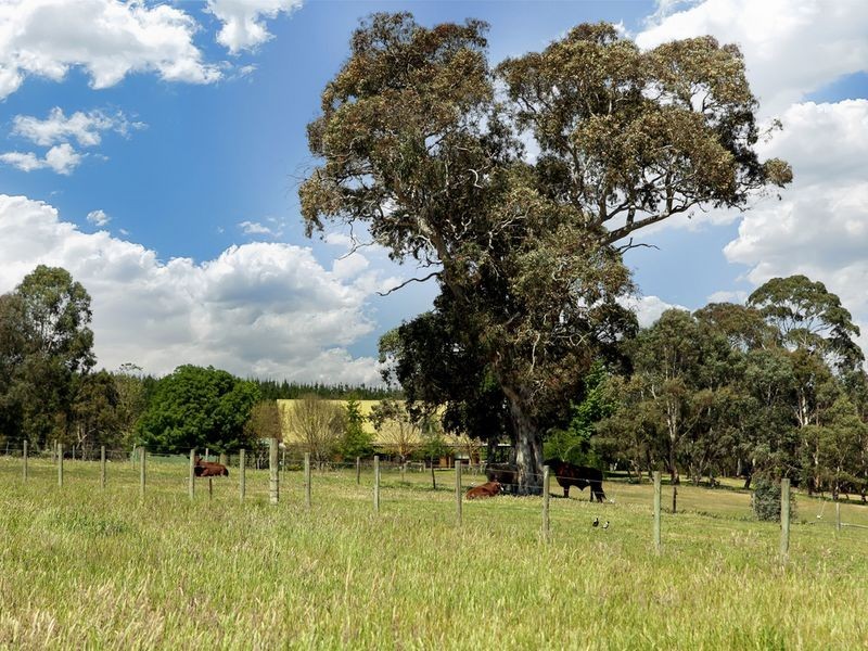 389 Pocock Road, Biggs Flat SA 5153