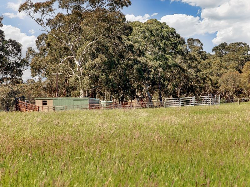 389 Pocock Road, Biggs Flat SA 5153