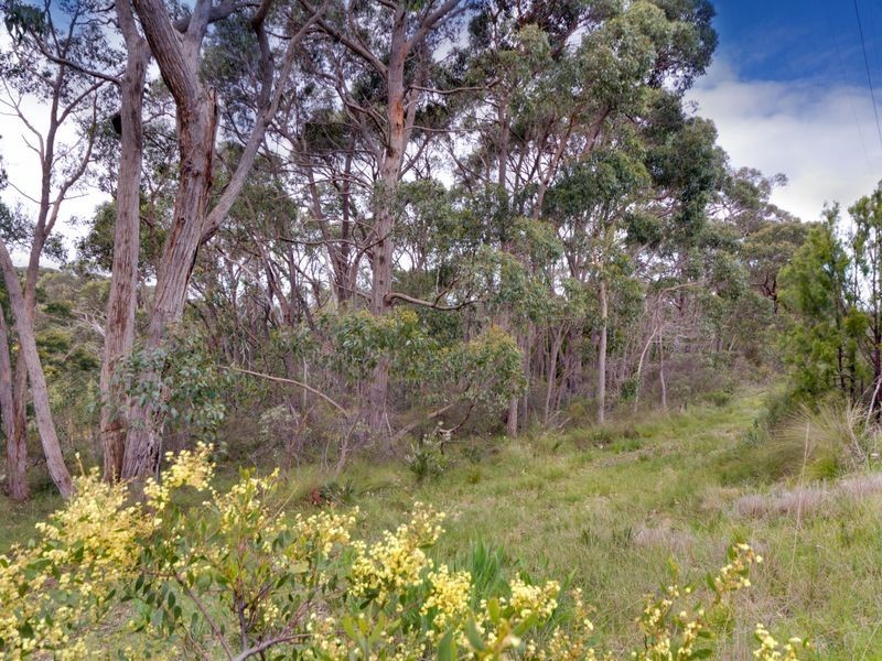 Section 33 Longwood Road, Bradbury SA 5153