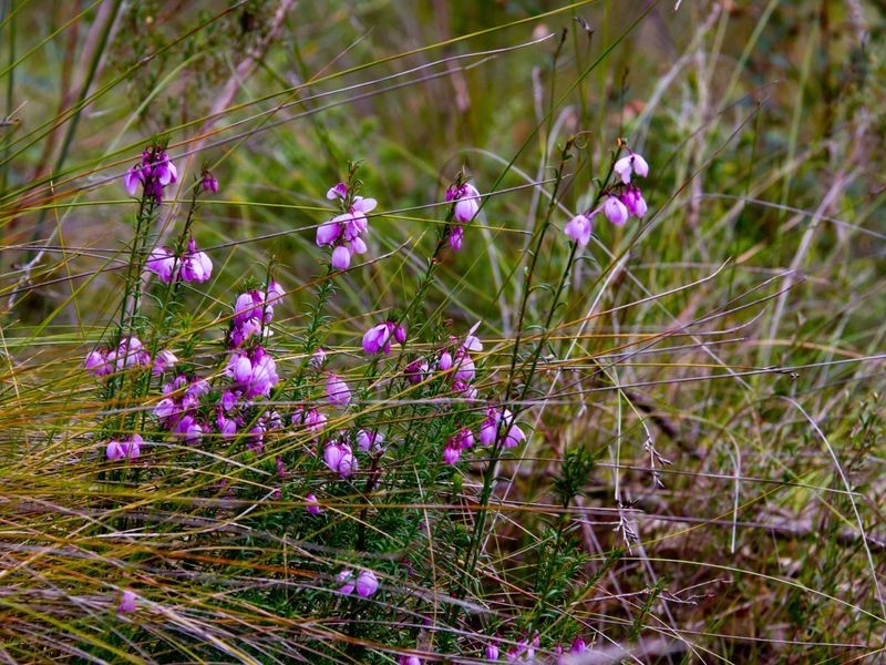 Section 33 Longwood Road, Bradbury SA 5153