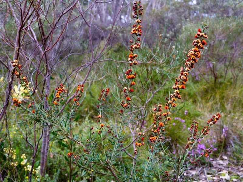 Section 33 Longwood Road, Bradbury SA 5153