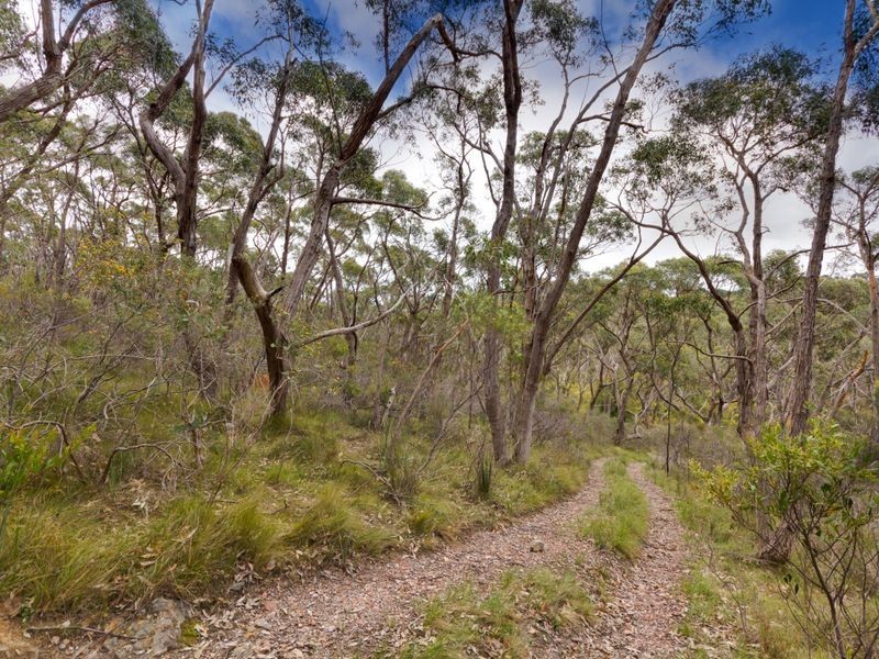 Section 33 Longwood Road, Bradbury SA 5153