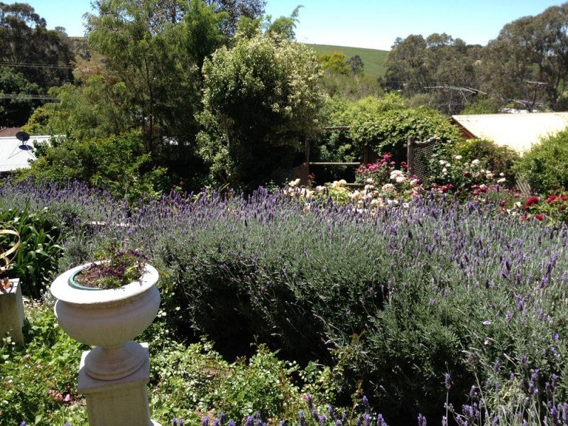 3 Jeffrey Street, Nairne SA 5252