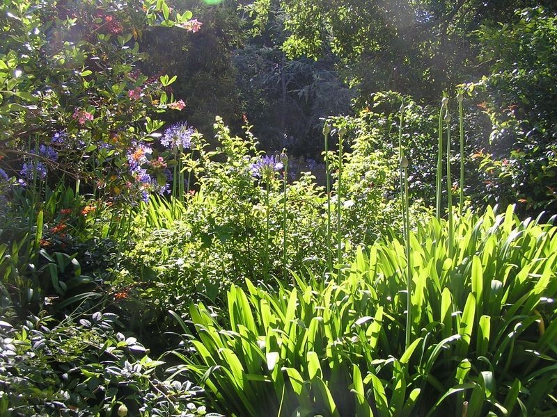 10 Glenside Road, Crafers SA 5152