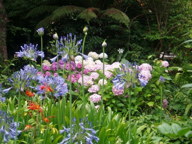 10 Glenside Road, Crafers SA 5152