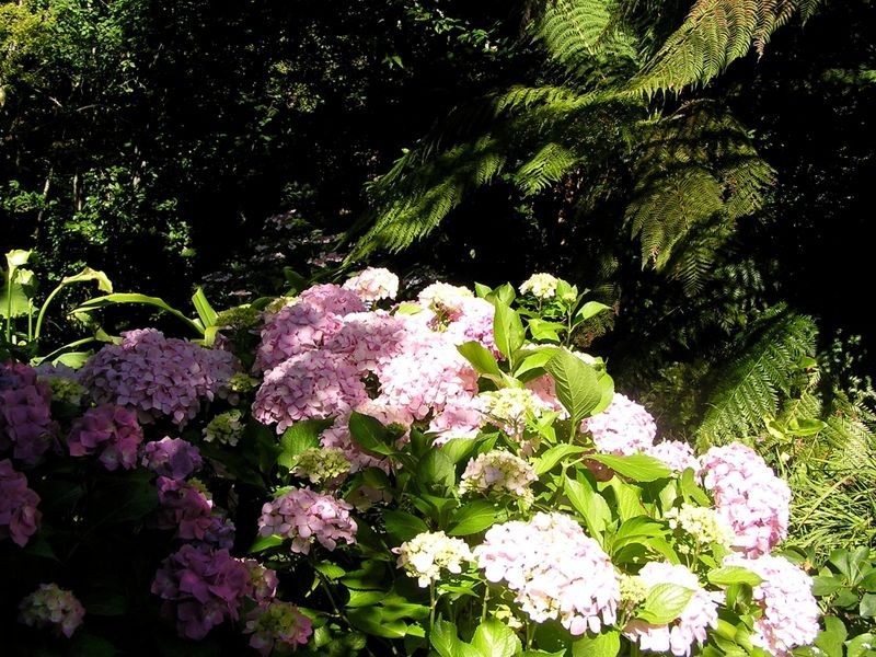 10 Glenside Road, Crafers SA 5152