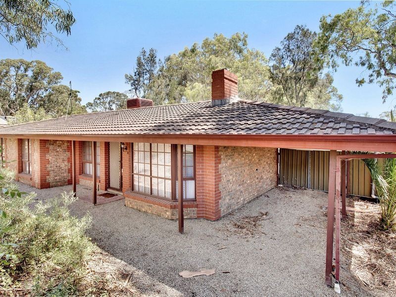 18 Ryan Avenue, Athelstone SA 5076