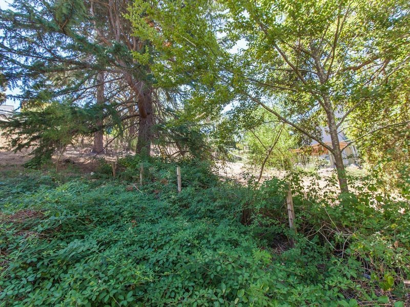 50 Wattle Tree Road, Bridgewater SA 5155