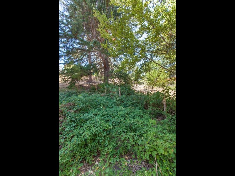 50 Wattle Tree Road, Bridgewater SA 5155