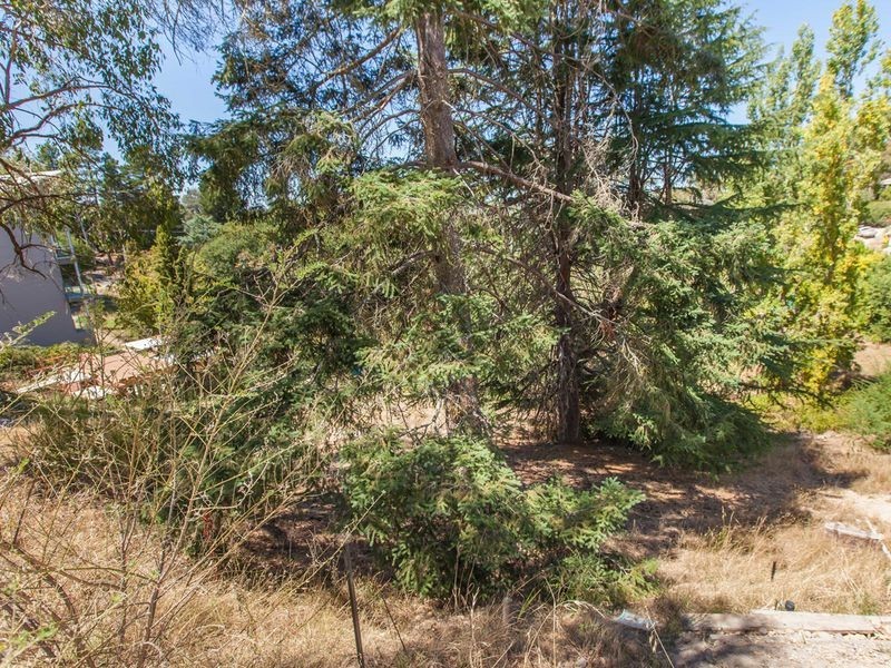 50 Wattle Tree Road, Bridgewater SA 5155