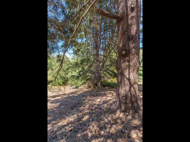 50 Wattle Tree Road, Bridgewater SA 5155
