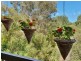 62 Wattle Tree Road, Bridgewater SA 5155