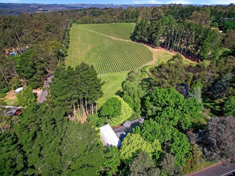 25 Forbes Road, Heathfield SA 5153