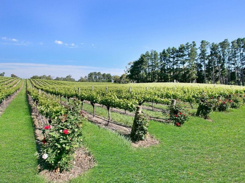 25 Forbes Road, Heathfield SA 5153