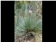 Lot 1 Hadrian Gully Road, Bradbury SA 5153