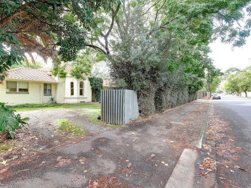 38 Angas Road, Hawthorn SA 5062