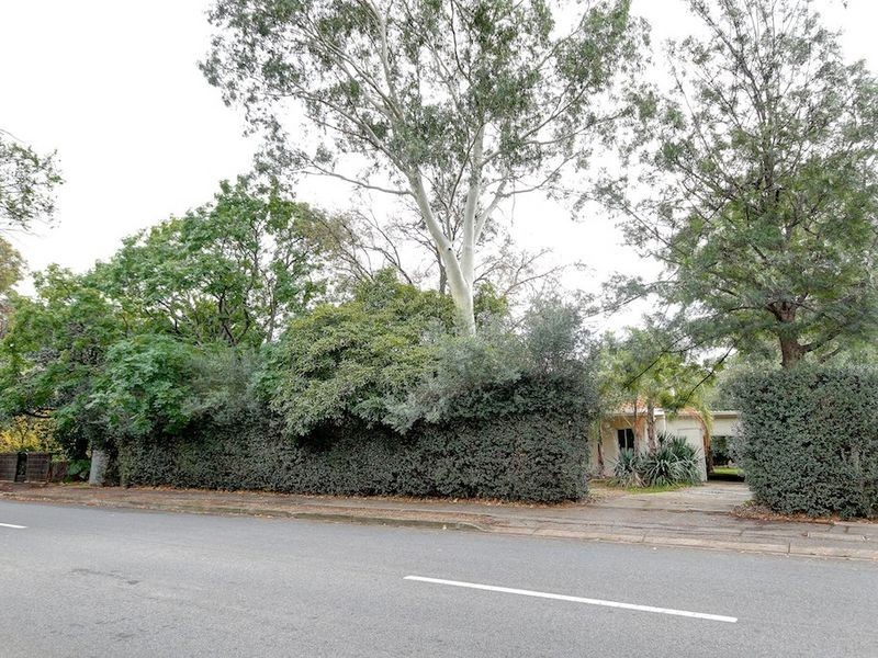 38 Angas Road, Hawthorn SA 5062