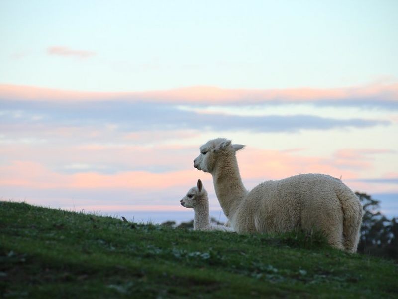 Lot 32 Ridge Road, Summertown SA 5141