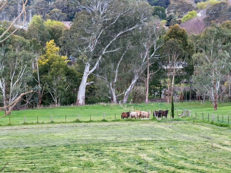 21A Tiers Road, Woodside SA 5244