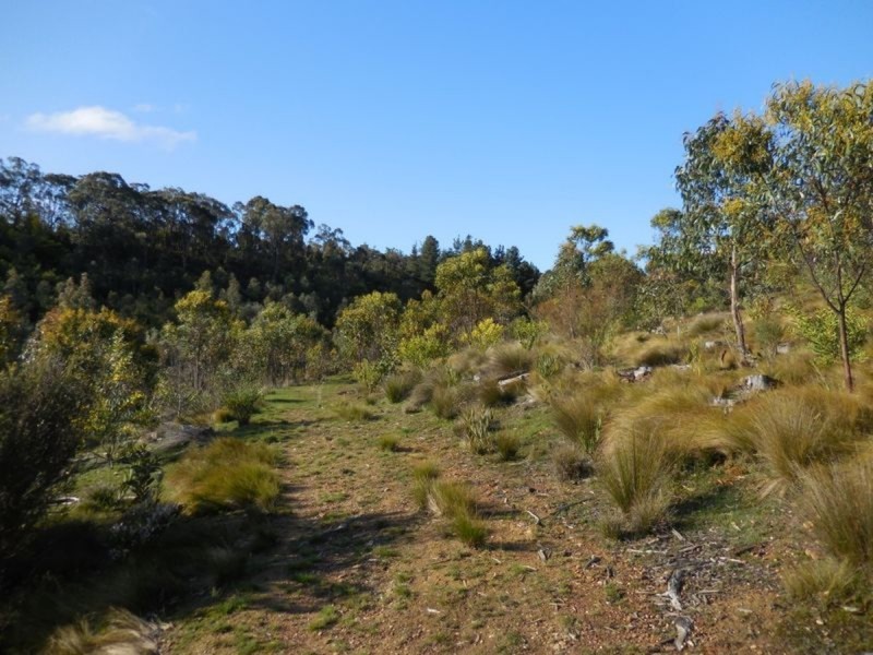 Section 29 Red Hill Road, Bradbury SA 5153