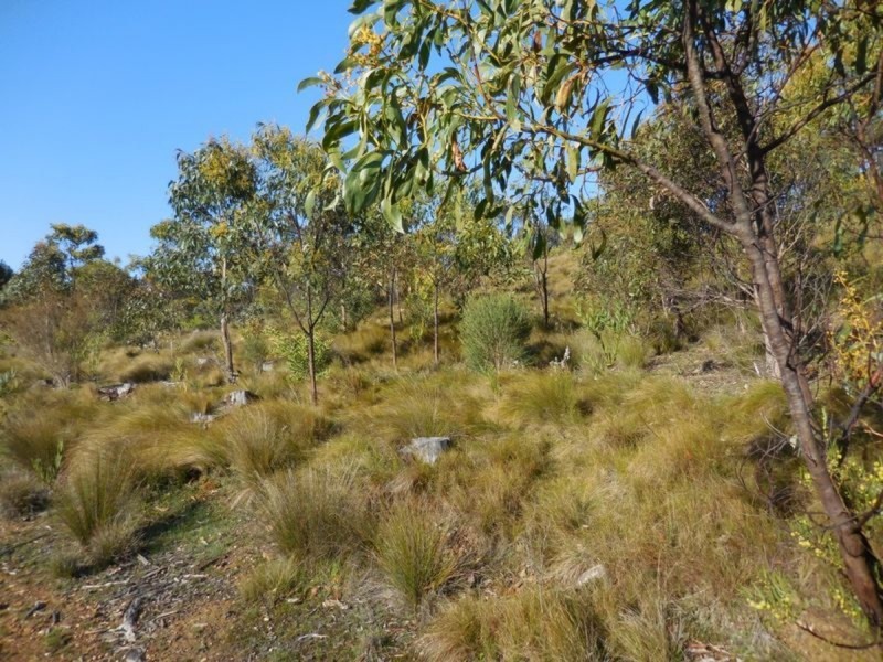 Section 29 Red Hill Road, Bradbury SA 5153