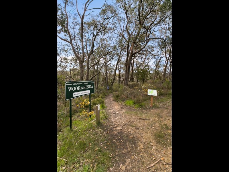 19 Keroma Drive, Aldgate SA 5154