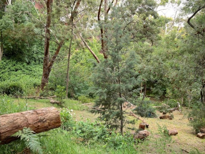 21 Edward Avenue, Crafers West SA 5152