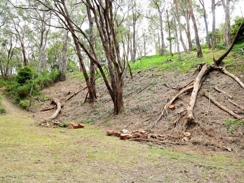 21 Edward Avenue, Crafers West SA 5152