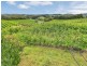 130 Coldstore Road, Lenswood SA 5240