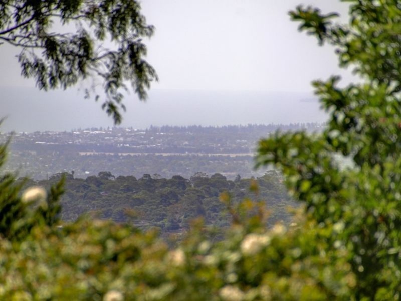 11 Corella Avenue, Chandlers Hill SA 5159