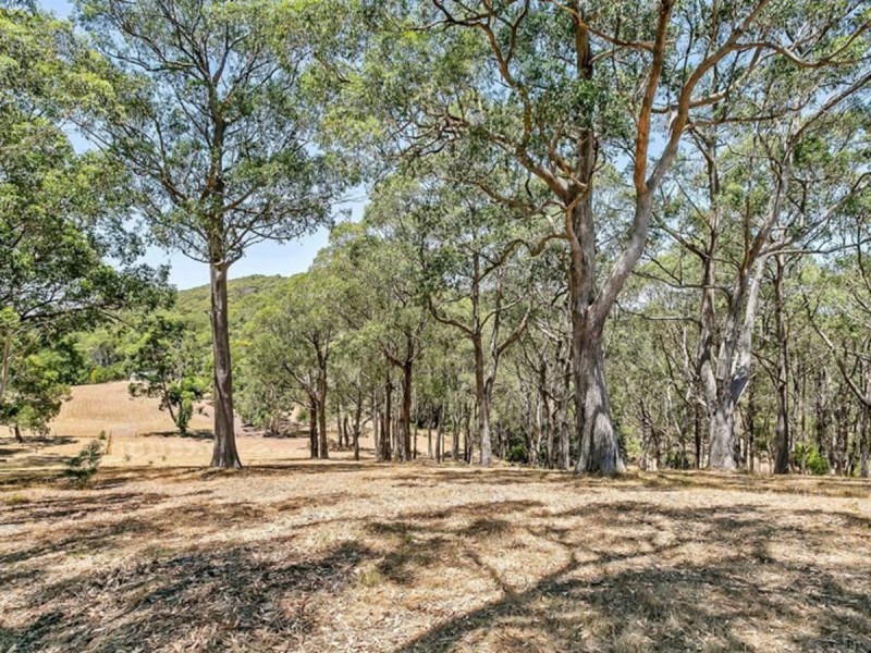 49 Badenoch Road, Carey Gully SA 5144