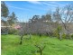Lot 244 Mount Barker Road, Bridgewater SA 5155