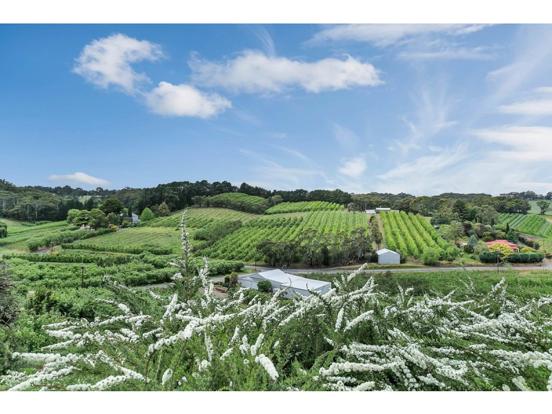 130 Coldstore Road, Lenswood SA 5240