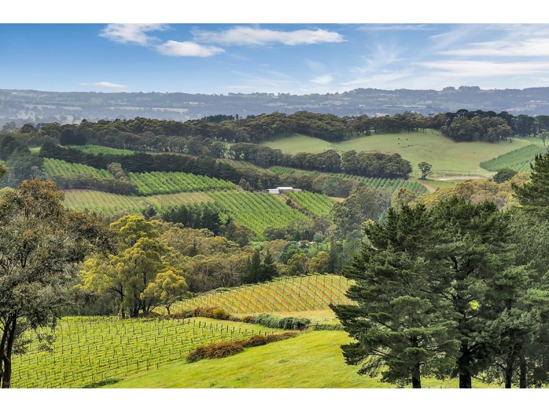 130 Coldstore Road, Lenswood SA 5240