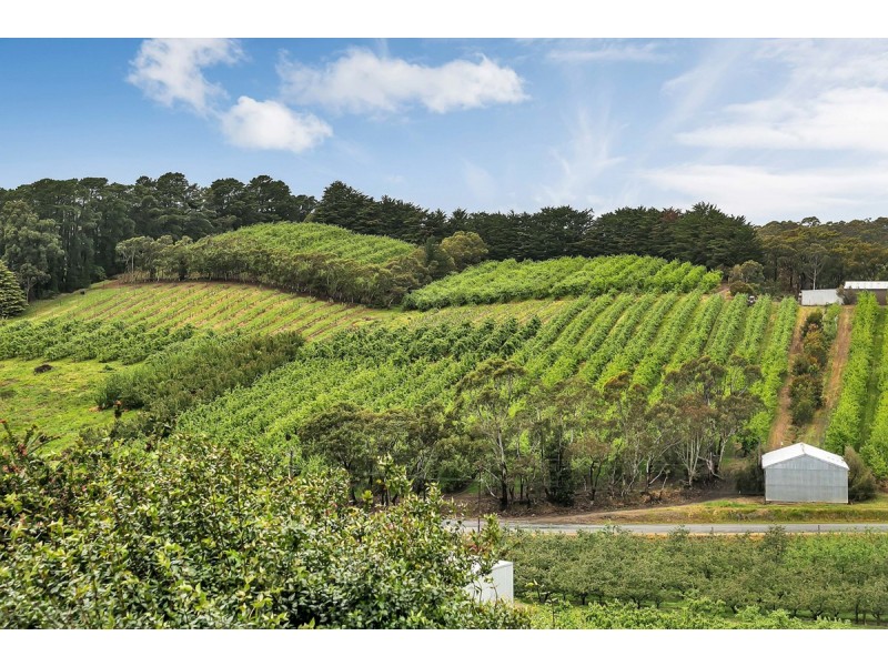 130 Coldstore Road, Lenswood SA 5240