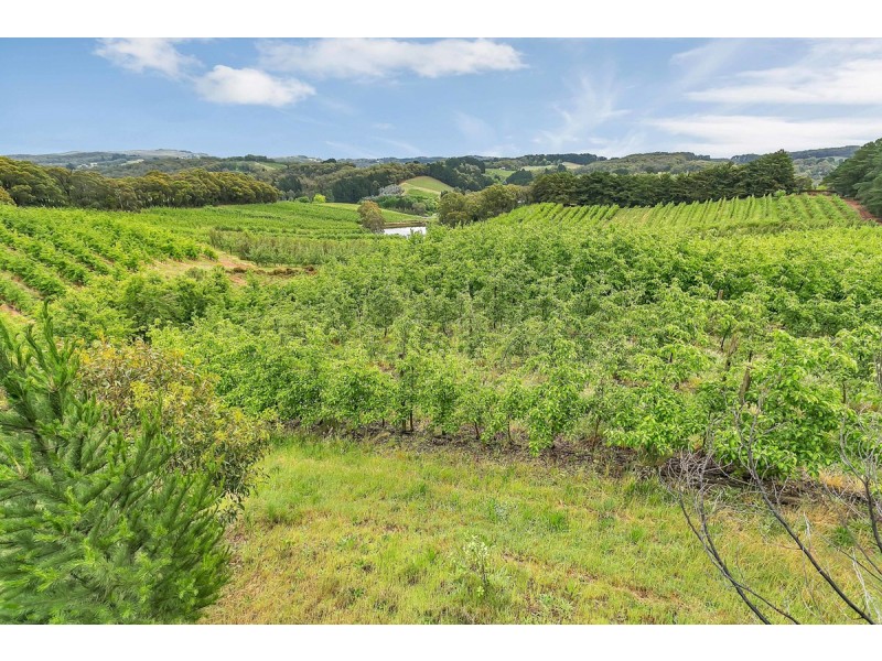 130 Coldstore Road, Lenswood SA 5240