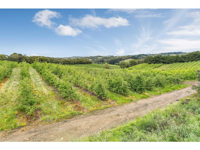 130 Coldstore Road, Lenswood SA 5240